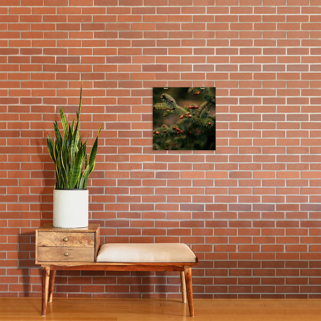 Hannah Kemp Spruce Tips Art Print