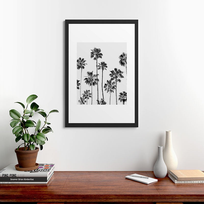 Gal Design Black And White Palms Framed Art Print