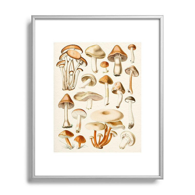 Gal Design Mushrooms Collection Metal Framed Art Print