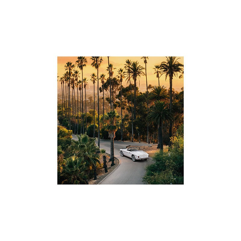 Gal Design Sunset Blvd Art Print