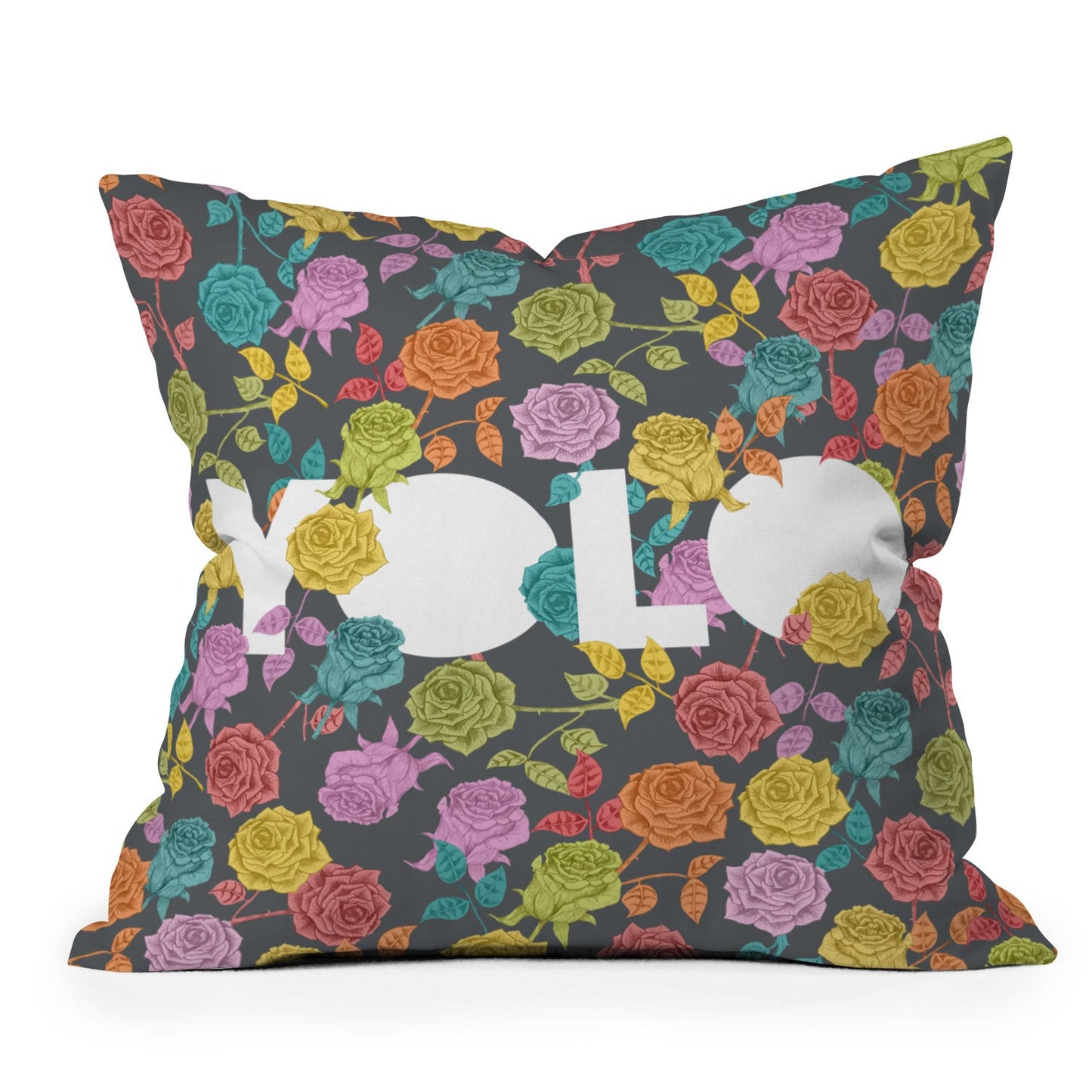 Bianca Green Yolo Outdoor Throw Pillow