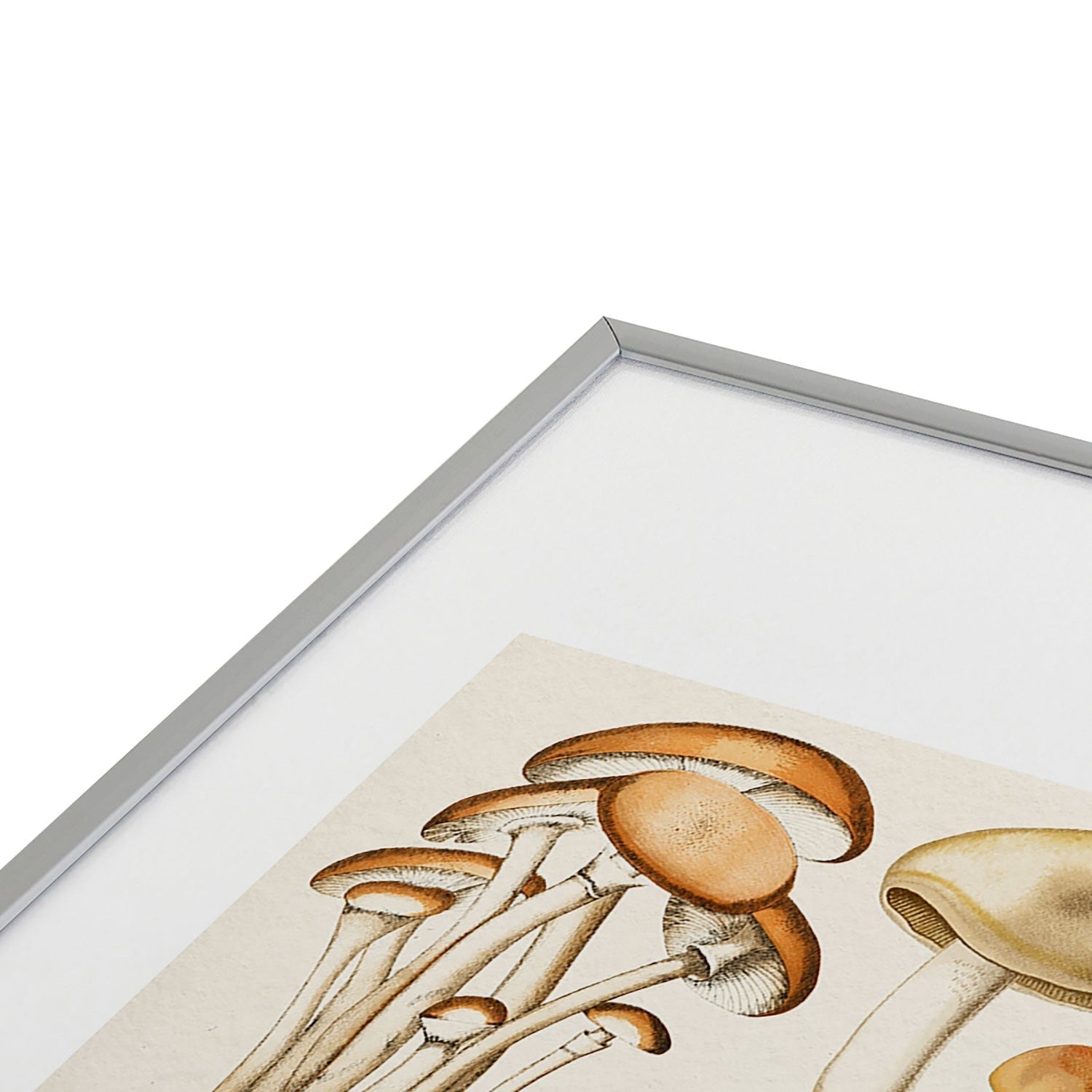 Gal Design Mushrooms Collection Metal Framed Art Print