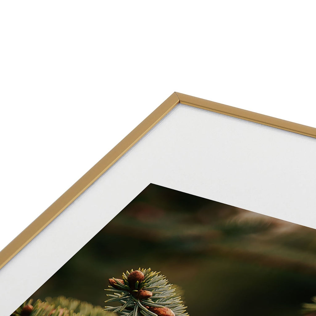 Hannah Kemp Spruce Tips Metal Framed Art Print