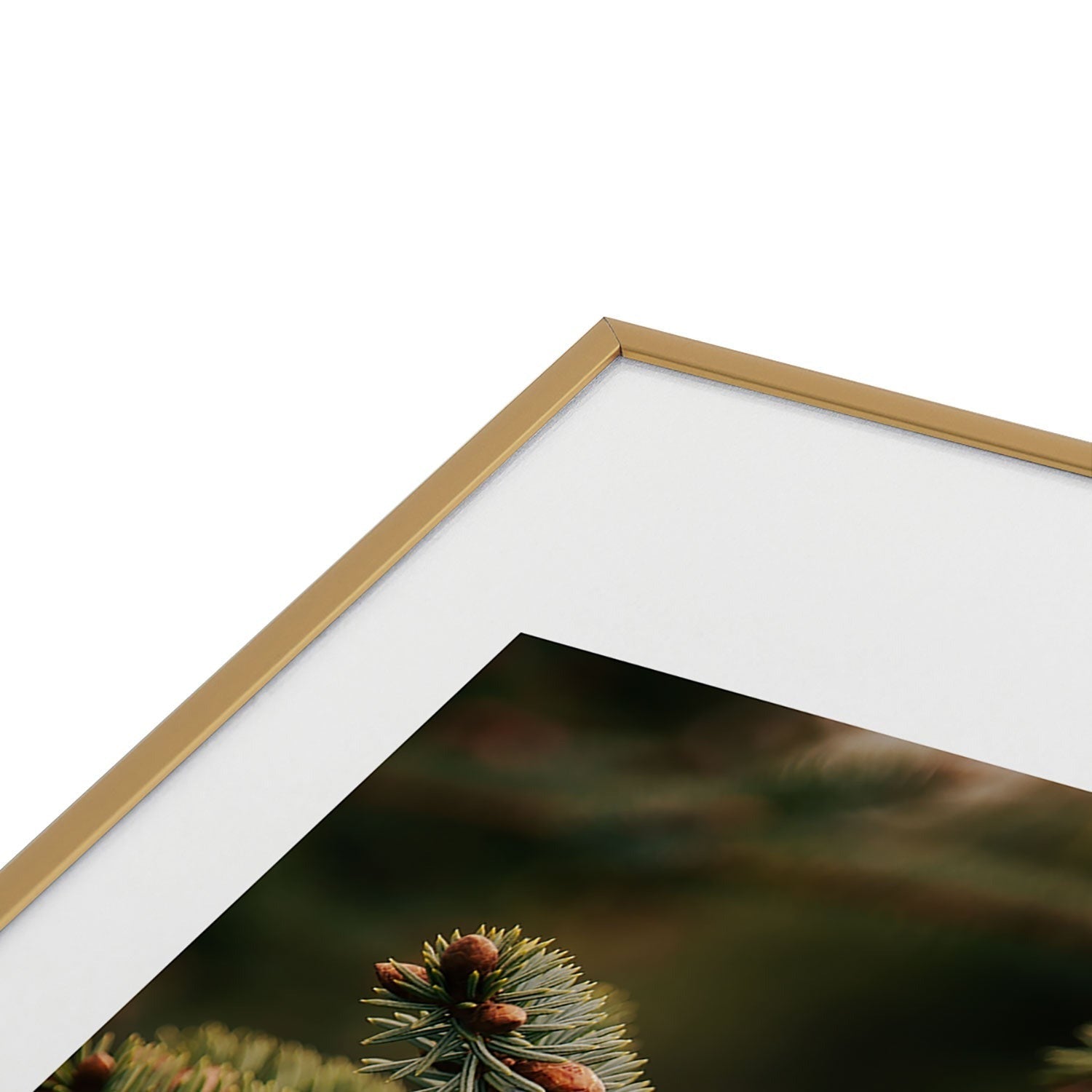 Hannah Kemp Spruce Tips Metal Framed Art Print