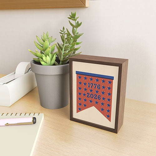 DENY Designs Star Banner Framed Mini Art Print