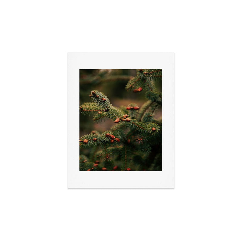 Hannah Kemp Spruce Tips Art Print