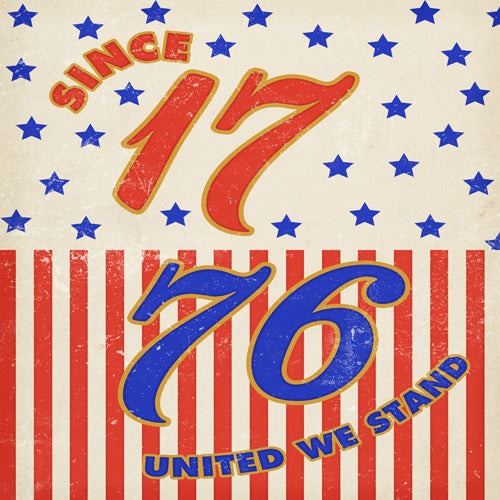 DENY Designs 1776 Stars Shower Curtain