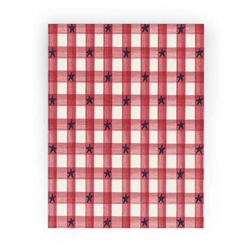 DENY Designs Red Gingham plus Stars Mini Art Print