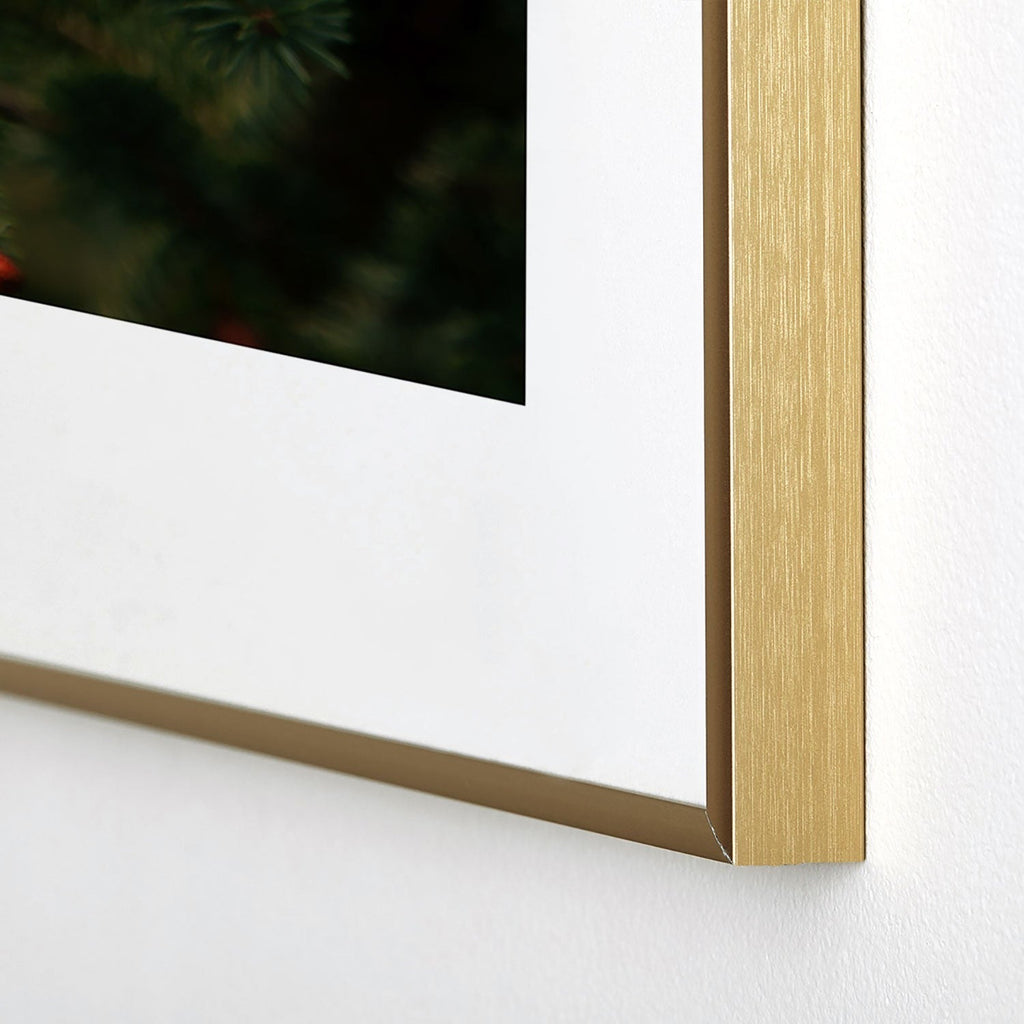 Hannah Kemp Spruce Tips Metal Framed Art Print