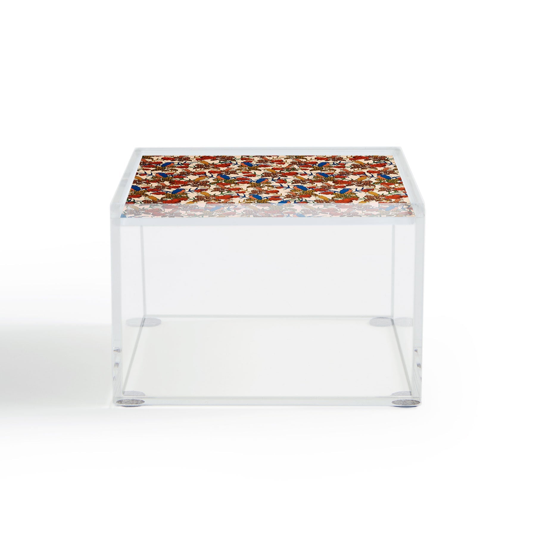 bárbara dantas Voler Acrylic Box