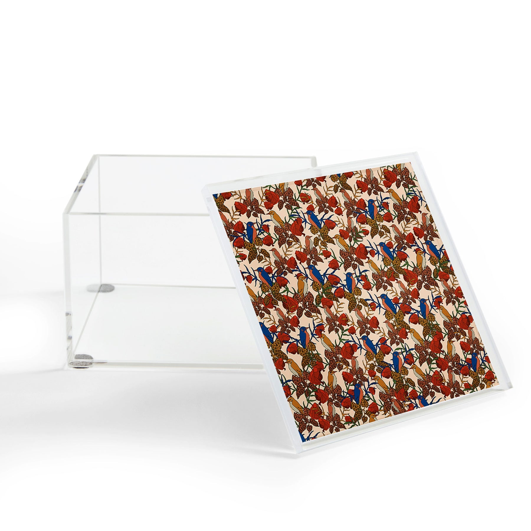 bárbara dantas Voler Acrylic Box