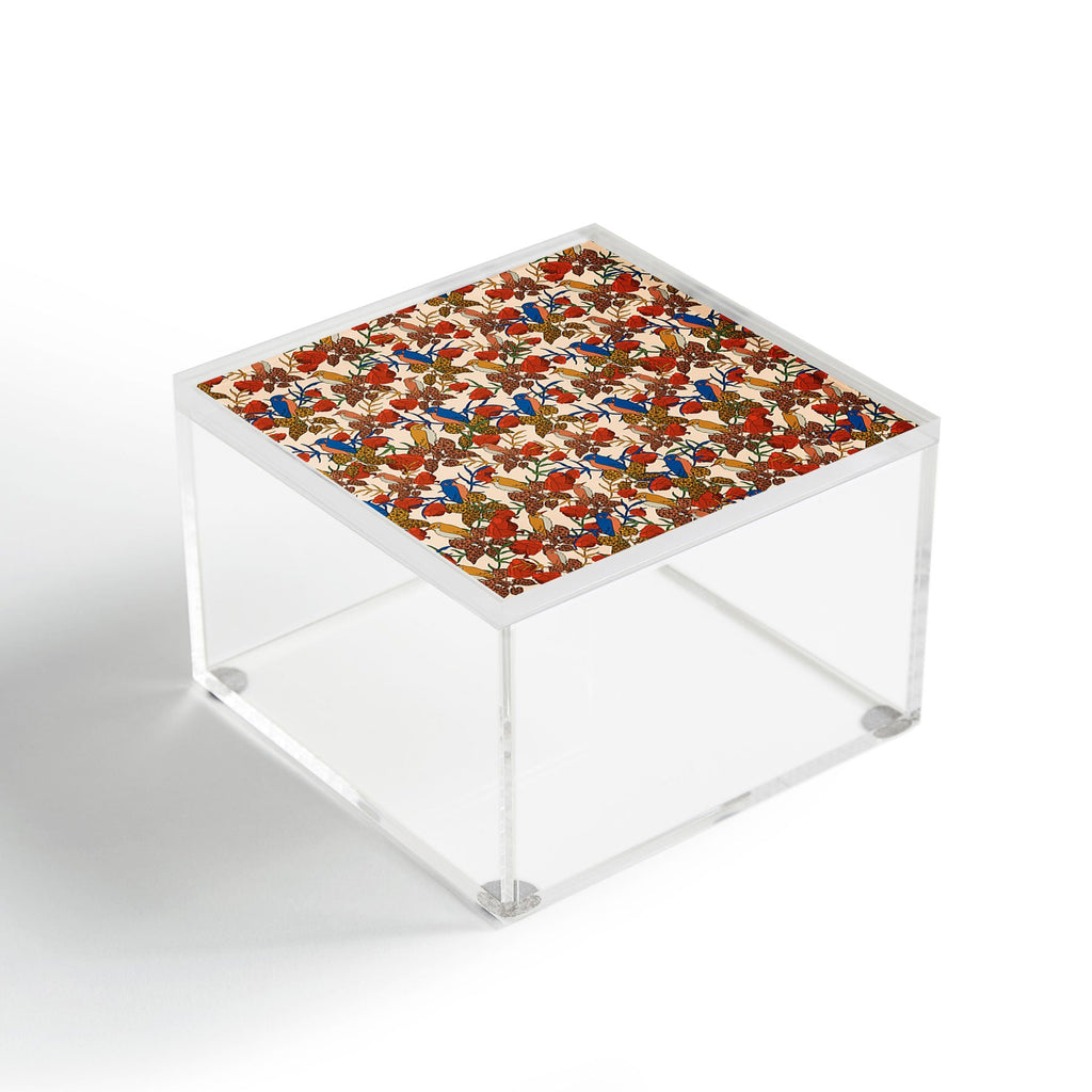 bárbara dantas Voler Acrylic Box