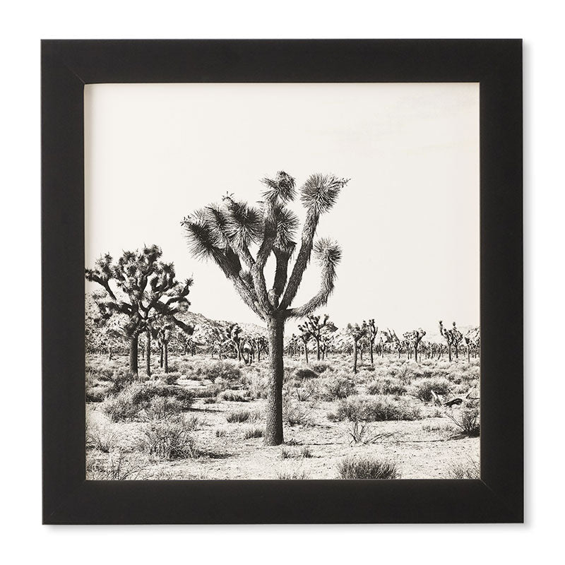 Bree Madden Joshua Trees Framed Wall Art