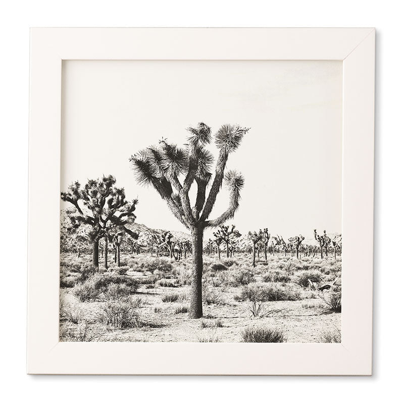 Bree Madden Joshua Trees Framed Wall Art