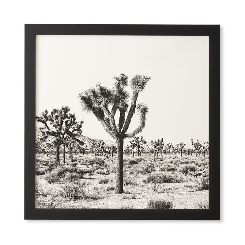 Bree Madden Joshua Trees Framed Wall Art