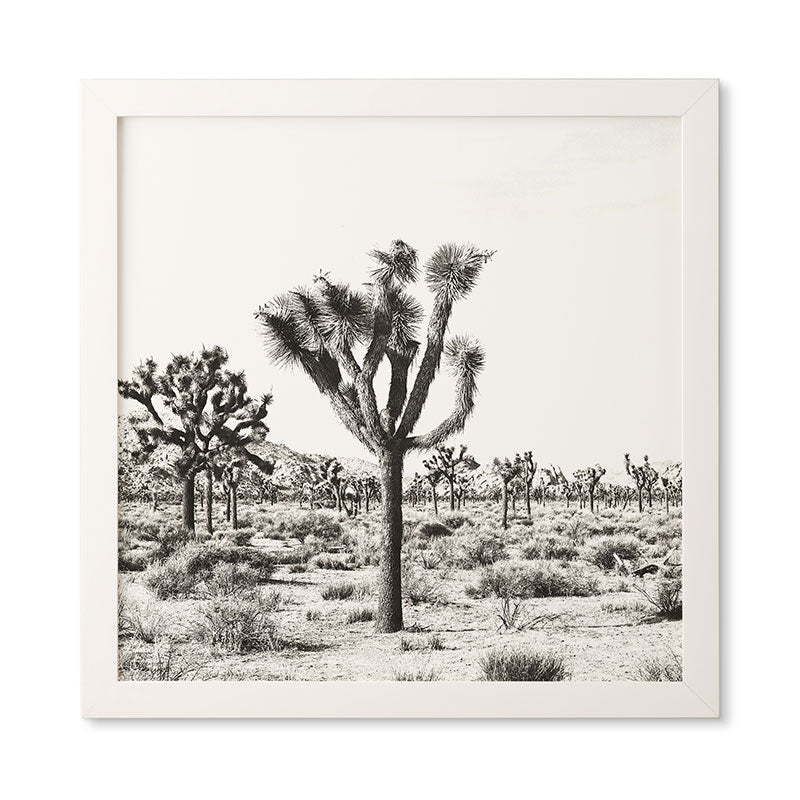 Bree Madden Joshua Trees Framed Wall Art
