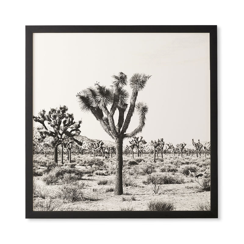 Bree Madden Joshua Trees Framed Wall Art