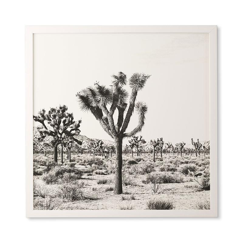 Bree Madden Joshua Trees Framed Wall Art