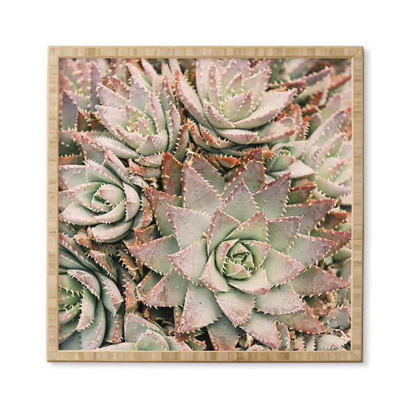 Bree Madden Succulent Framed Wall Art