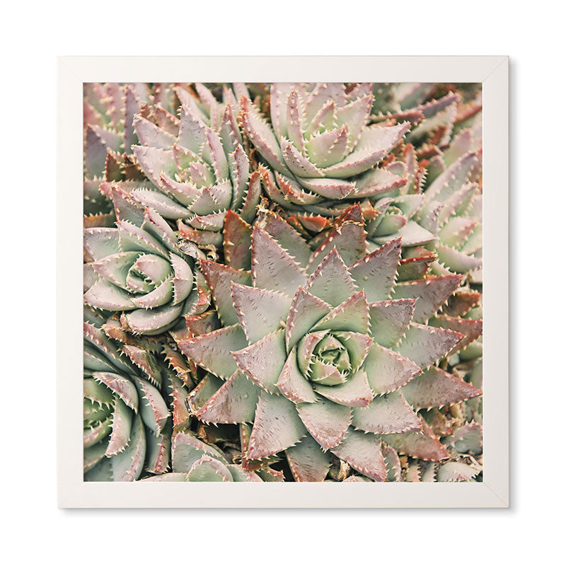 Bree Madden Succulent Framed Wall Art