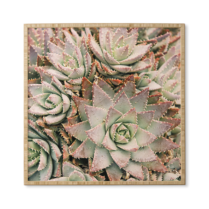 Bree Madden Succulent Framed Wall Art