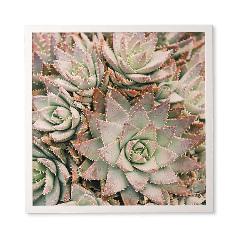 Bree Madden Succulent Framed Wall Art