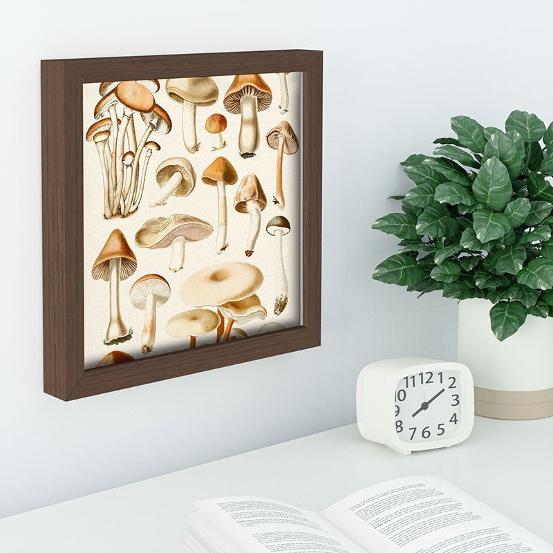 Gal Design Mushrooms Collection Recessed Framing Square