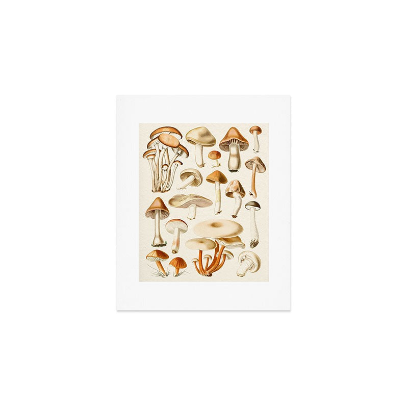 Gal Design Mushrooms Collection Art Print