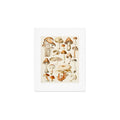 Gal Design Mushrooms Collection Art Print