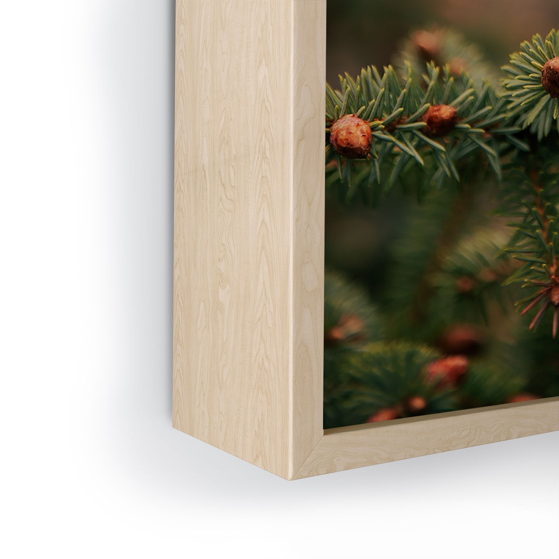 Hannah Kemp Spruce Tips Framed Mini Art Print