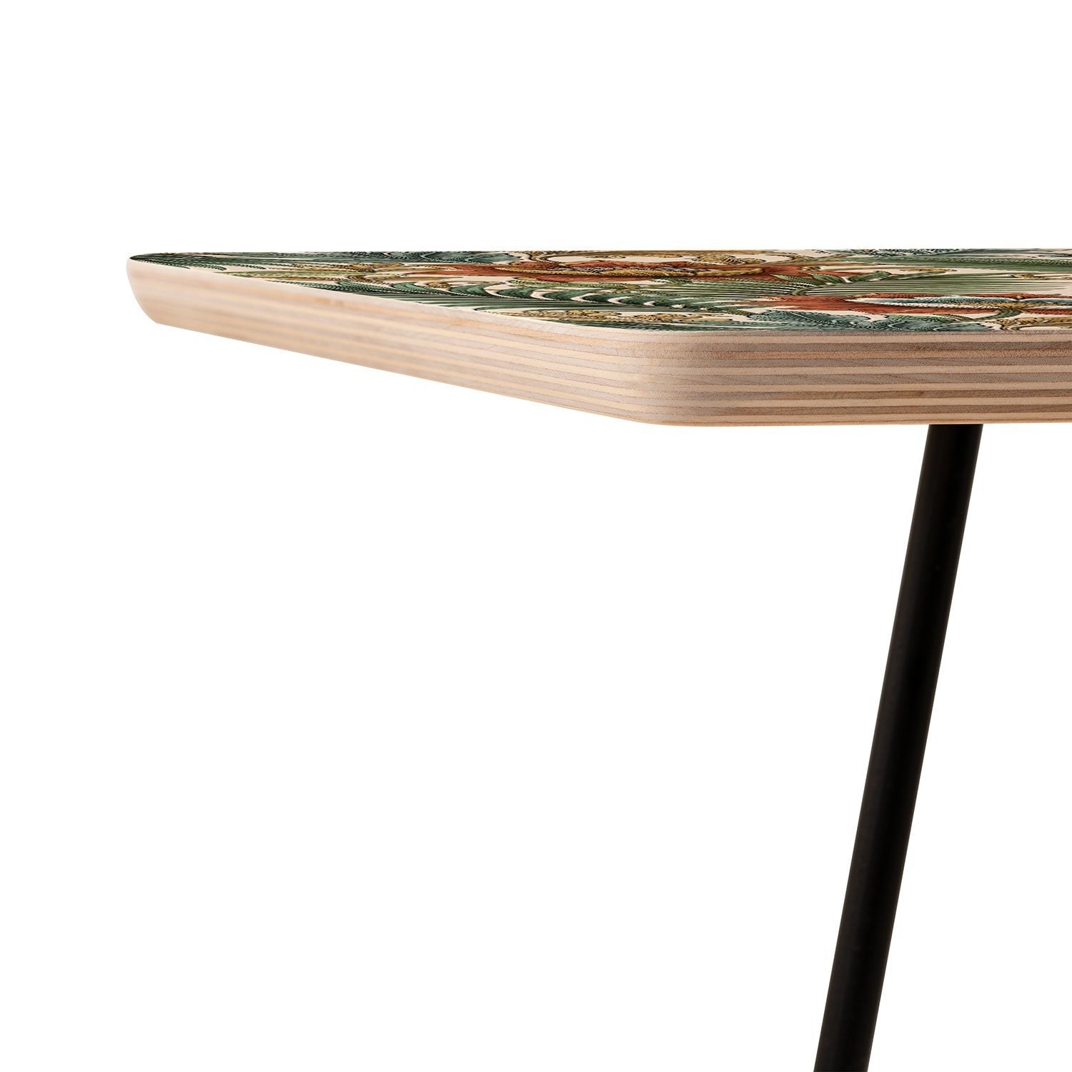 Marta Barragan Camarasa Retro Jungle Garden Side Table