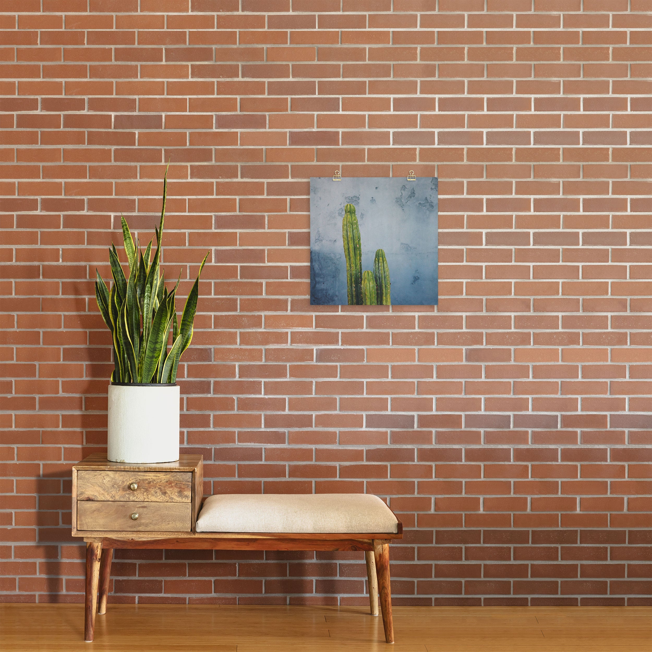 Catherine McDonald Cactus Family Portrait Art Print