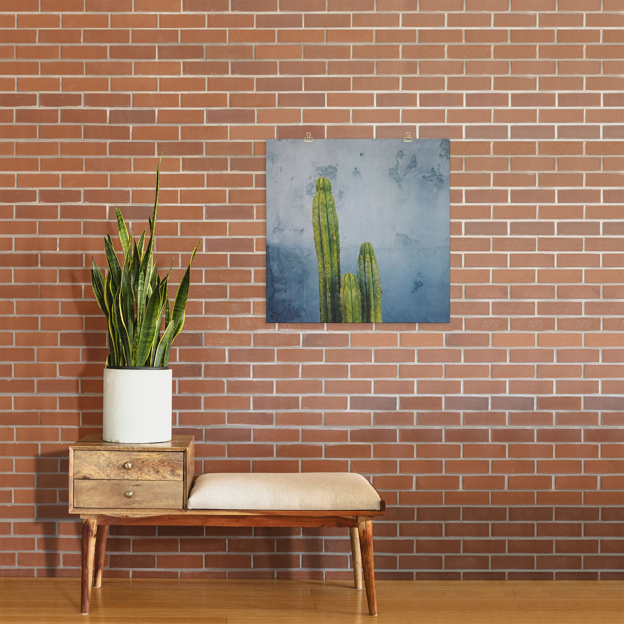 Catherine McDonald Cactus Family Portrait Art Print