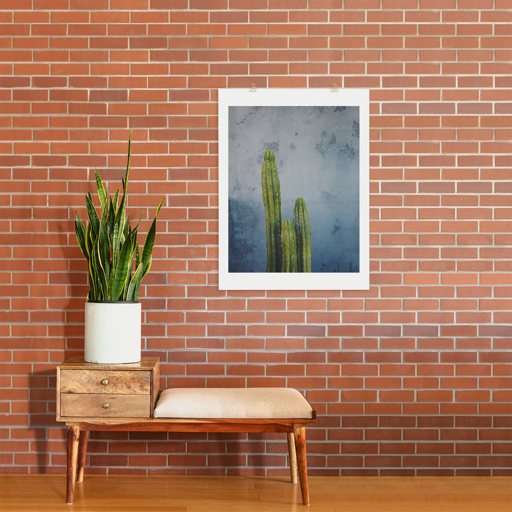 Catherine McDonald Cactus Family Portrait Art Print