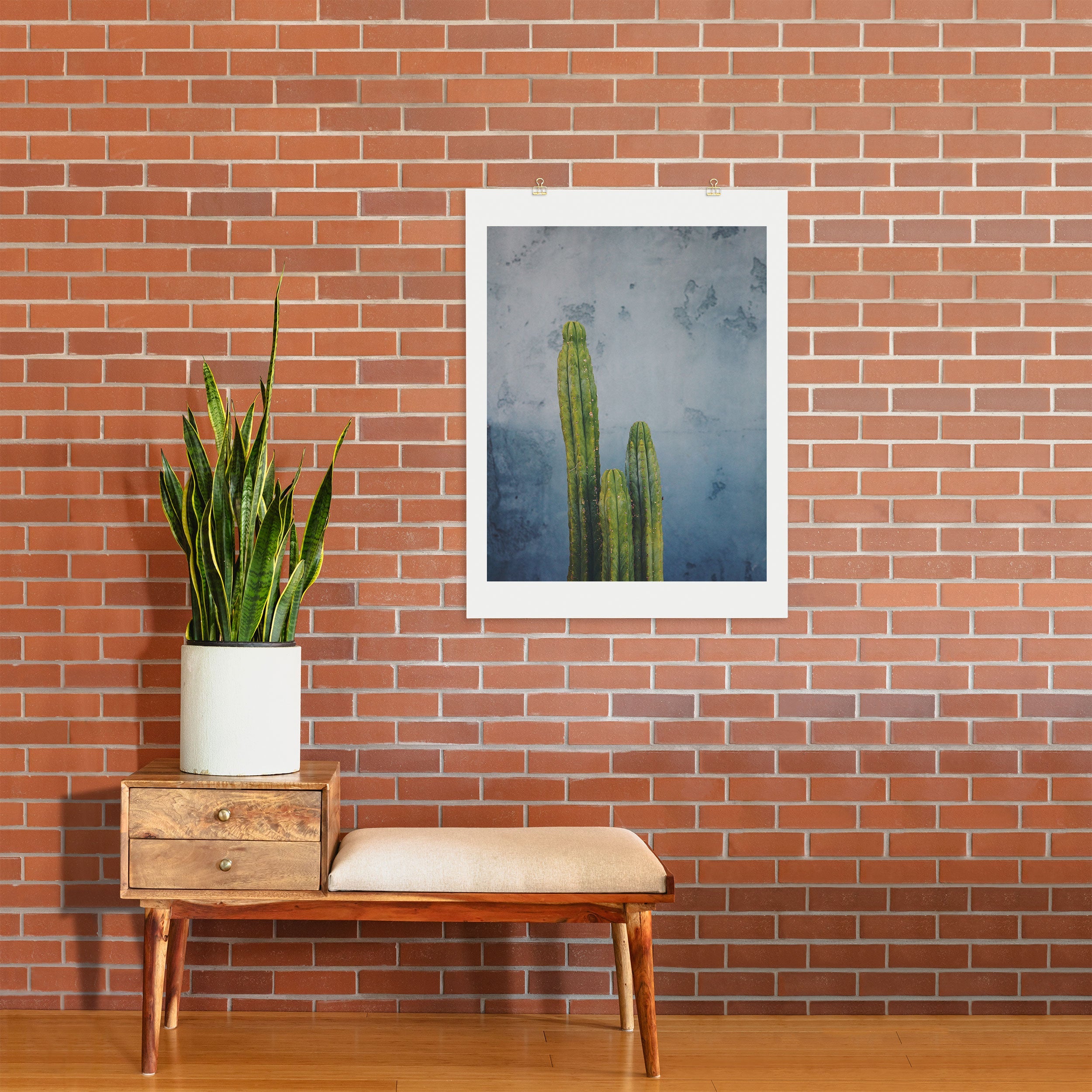 Catherine McDonald Cactus Family Portrait Art Print