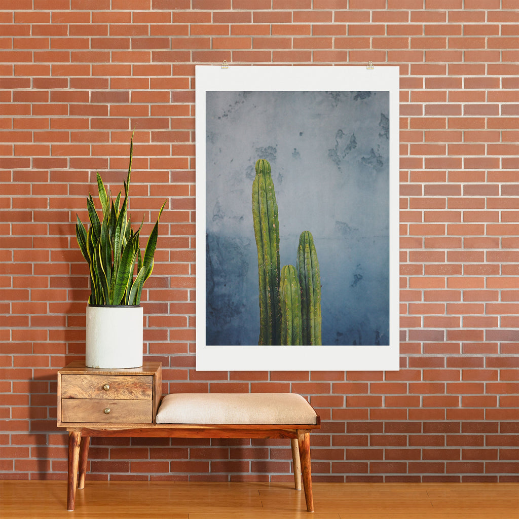Catherine McDonald Cactus Family Portrait Art Print