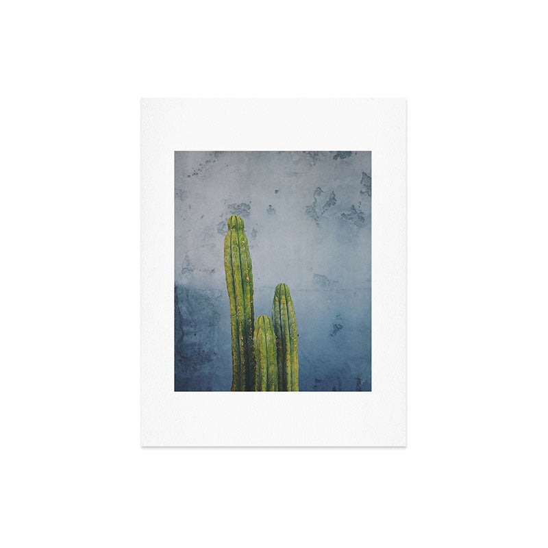 Catherine McDonald Cactus Family Portrait Art Print