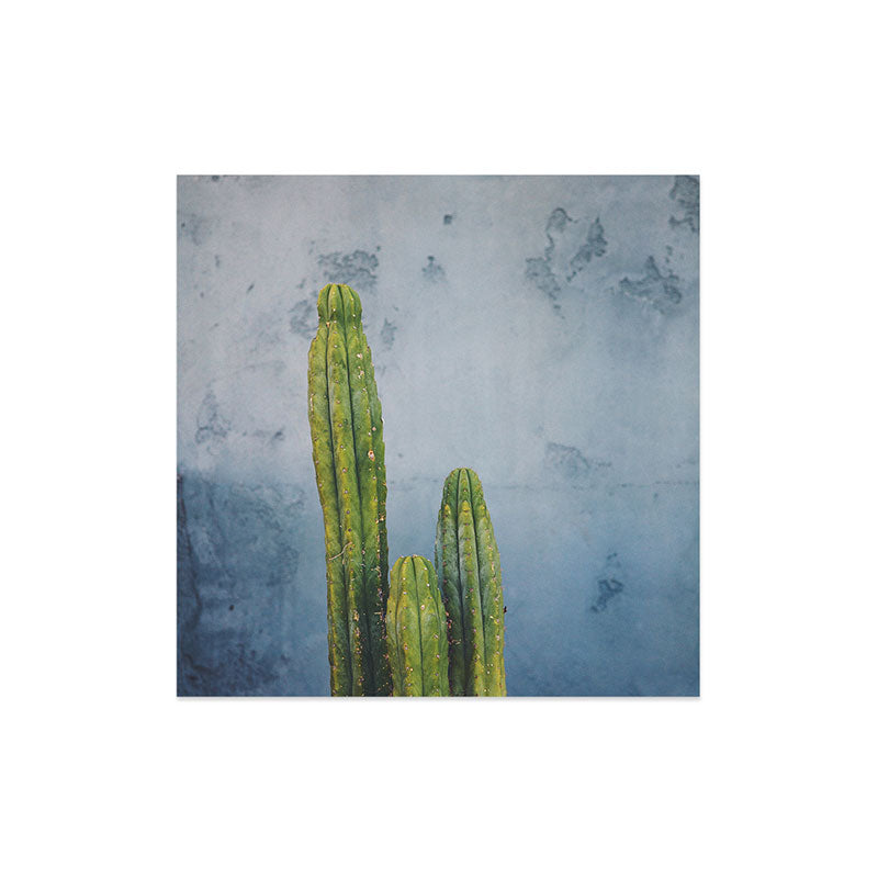 Catherine McDonald Cactus Family Portrait Art Print