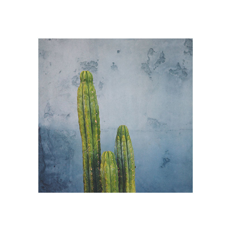 Catherine McDonald Cactus Family Portrait Art Print
