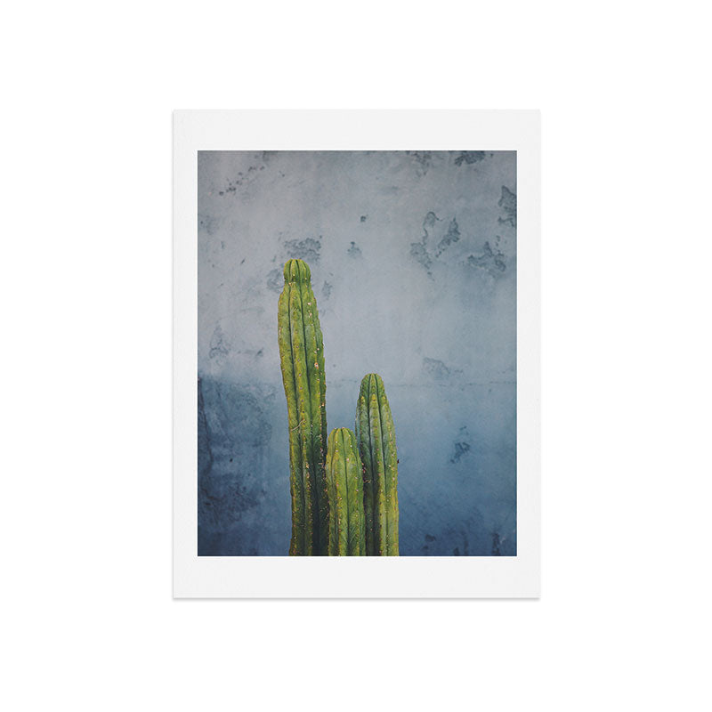 Catherine McDonald Cactus Family Portrait Art Print