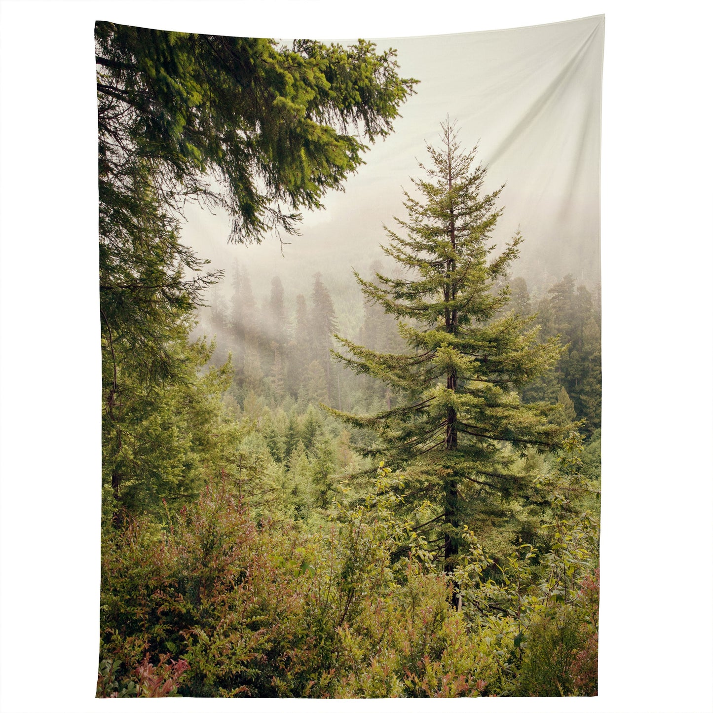 Catherine McDonald Into The Mist Tapestry