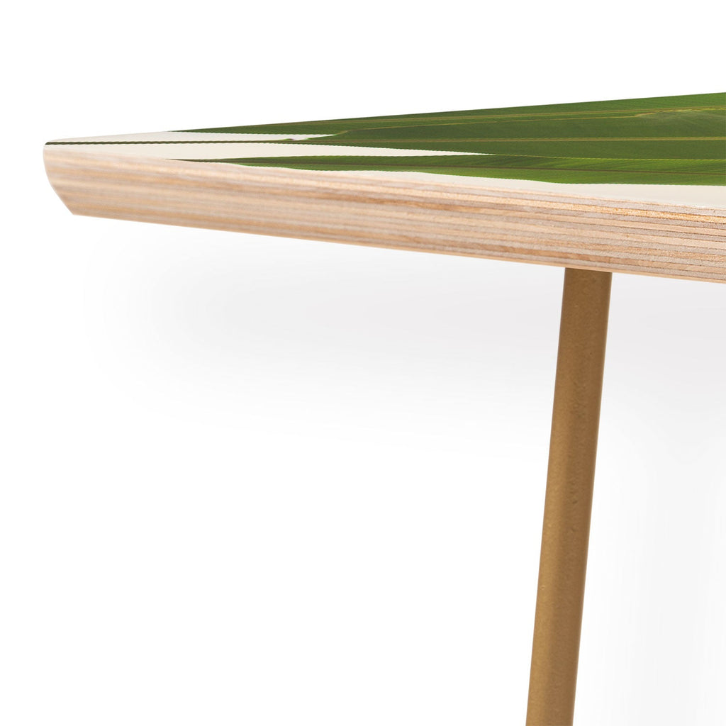 Catherine McDonald Tropical Banana Leaves Coffee Table