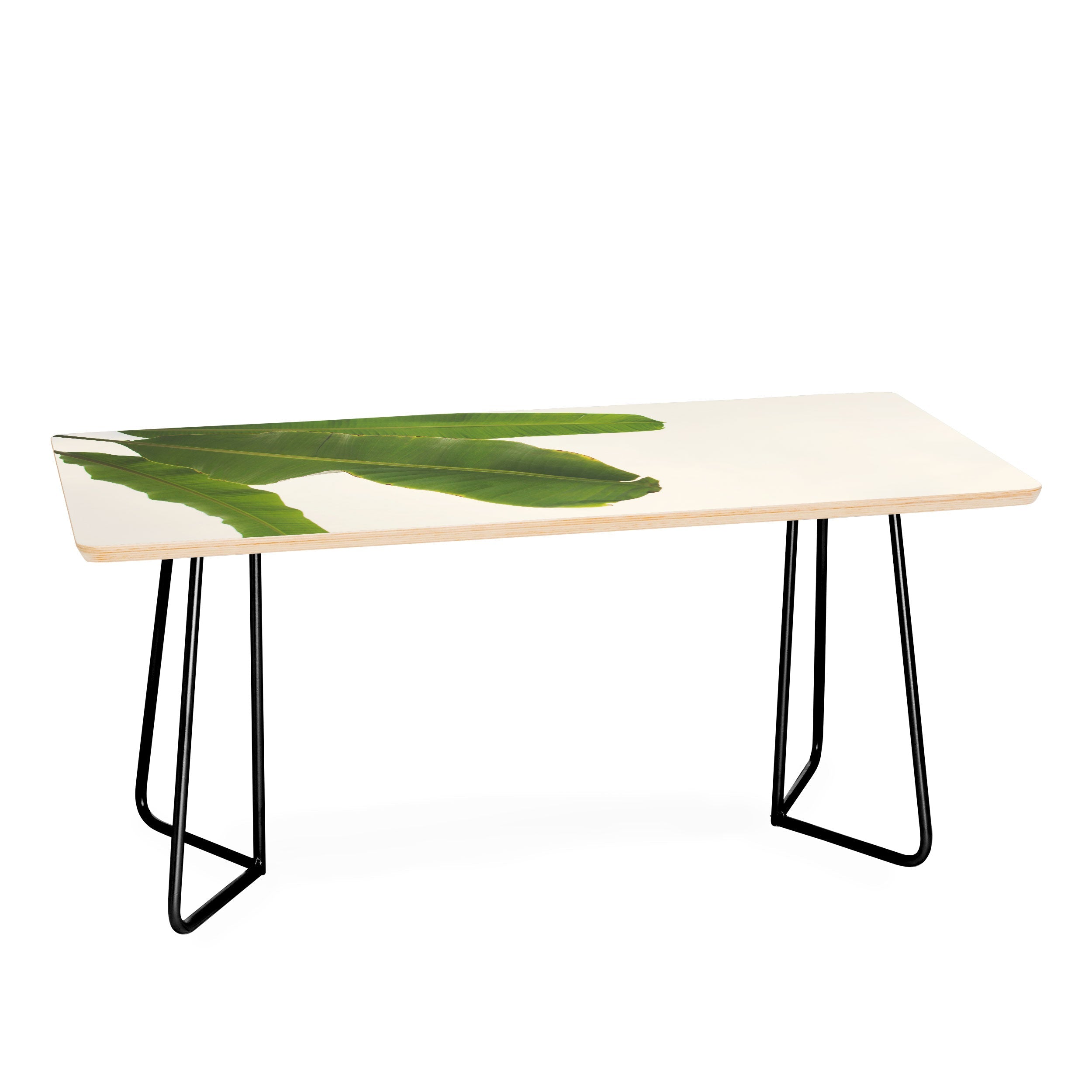 Catherine McDonald Tropical Banana Leaves Coffee Table