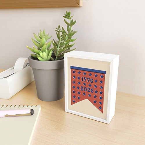 DENY Designs Star Banner Framed Mini Art Print