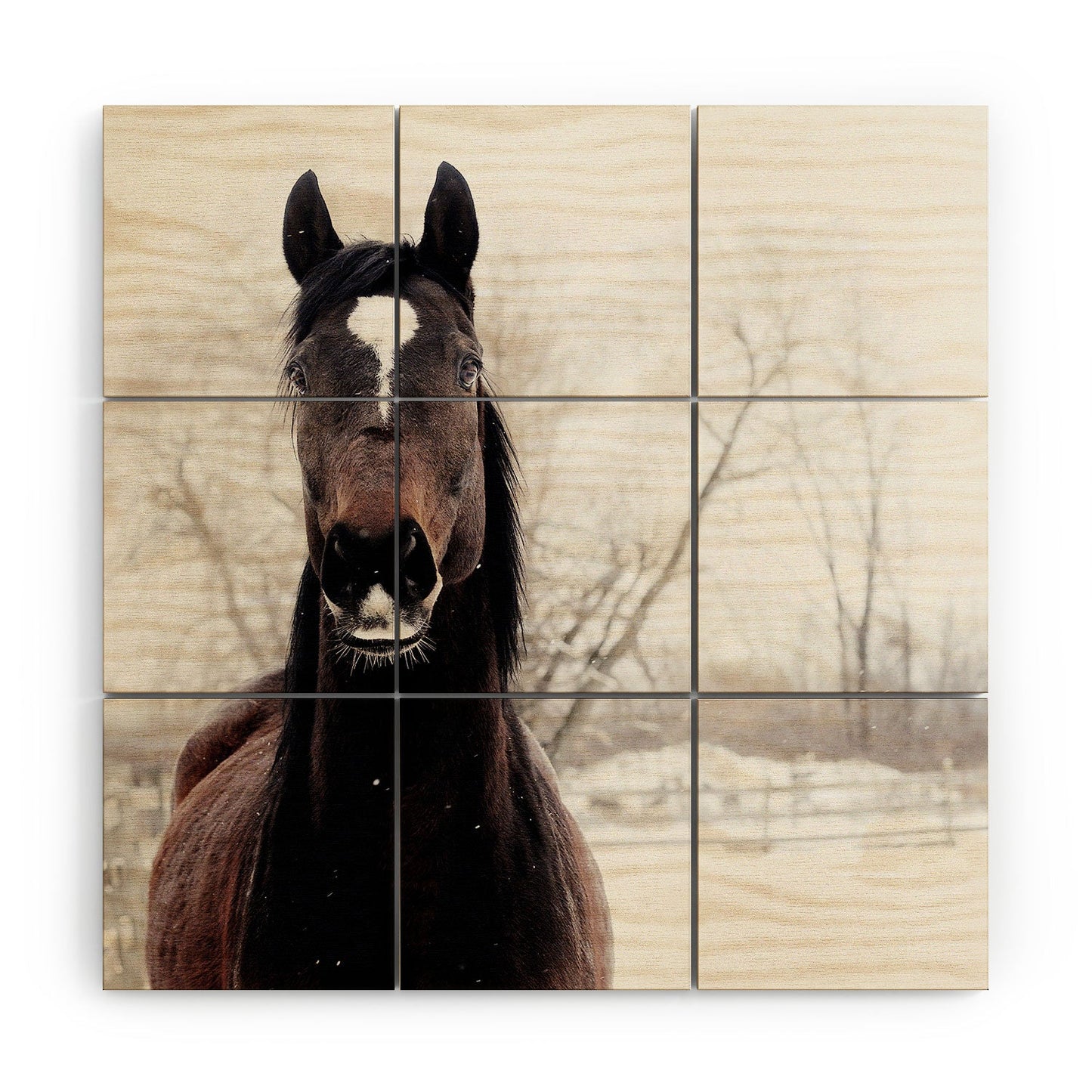 Chelsea Victoria Dark Horse Wood Wall Mural
