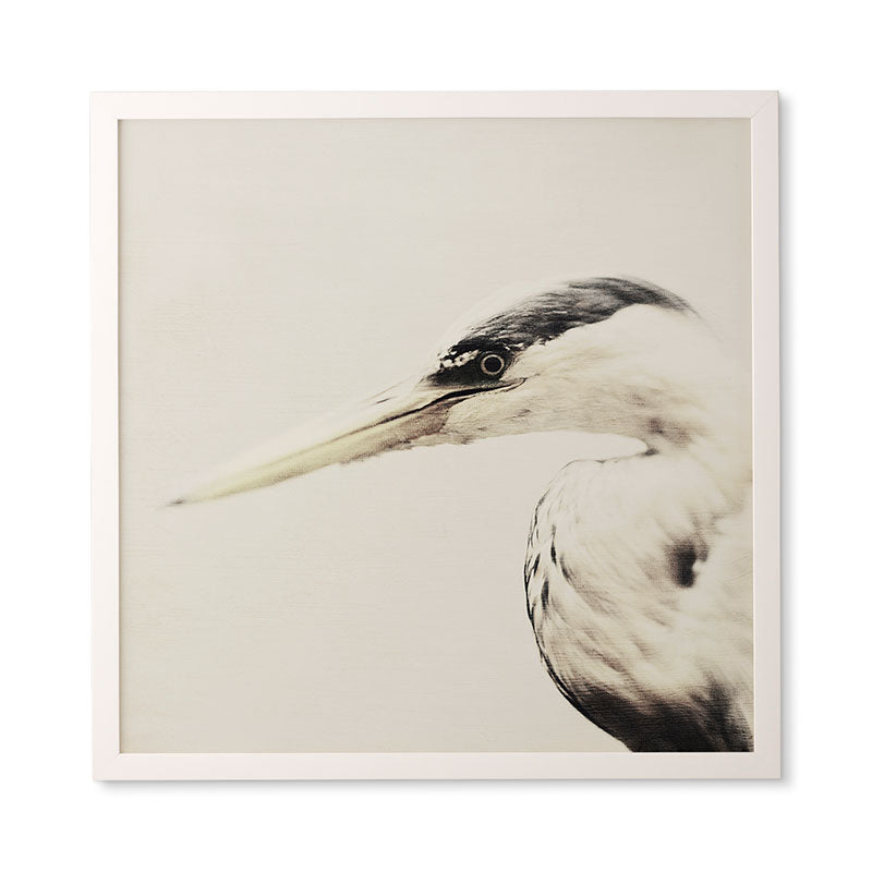 Chelsea Victoria Pecking Order Framed Wall Art