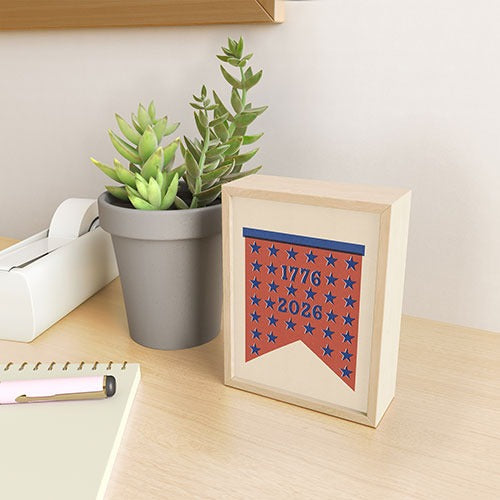 DENY Designs Star Banner Framed Mini Art Print