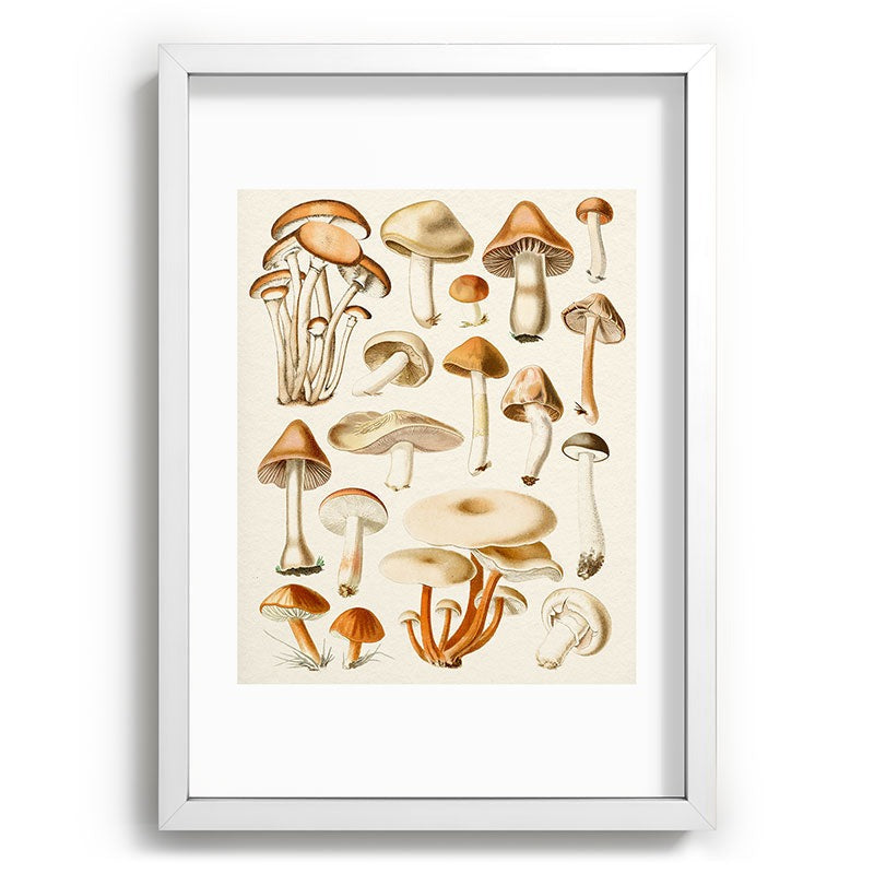 Gal Design Mushrooms Collection Recessed Framing Rectangle