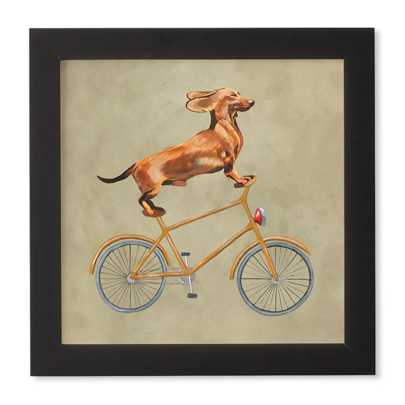 Coco de Paris Daschund on bicycle Framed Wall Art