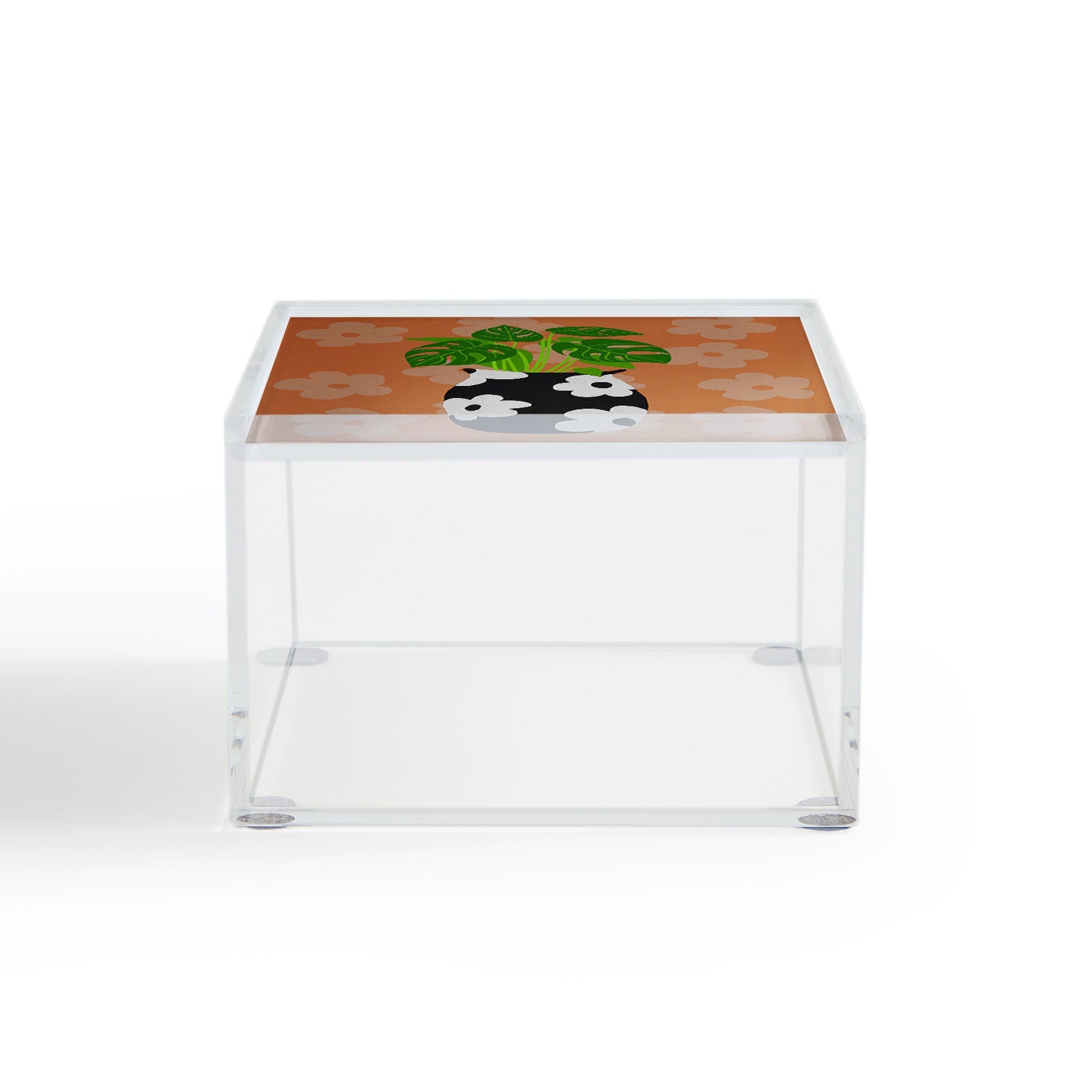 Coco de Paris Green plant retro style 1 Acrylic Box